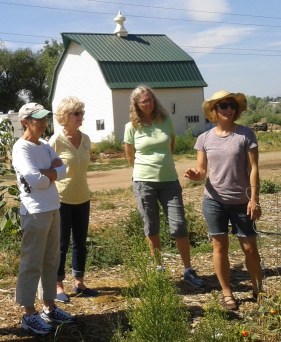 20160801_103456 [56523]